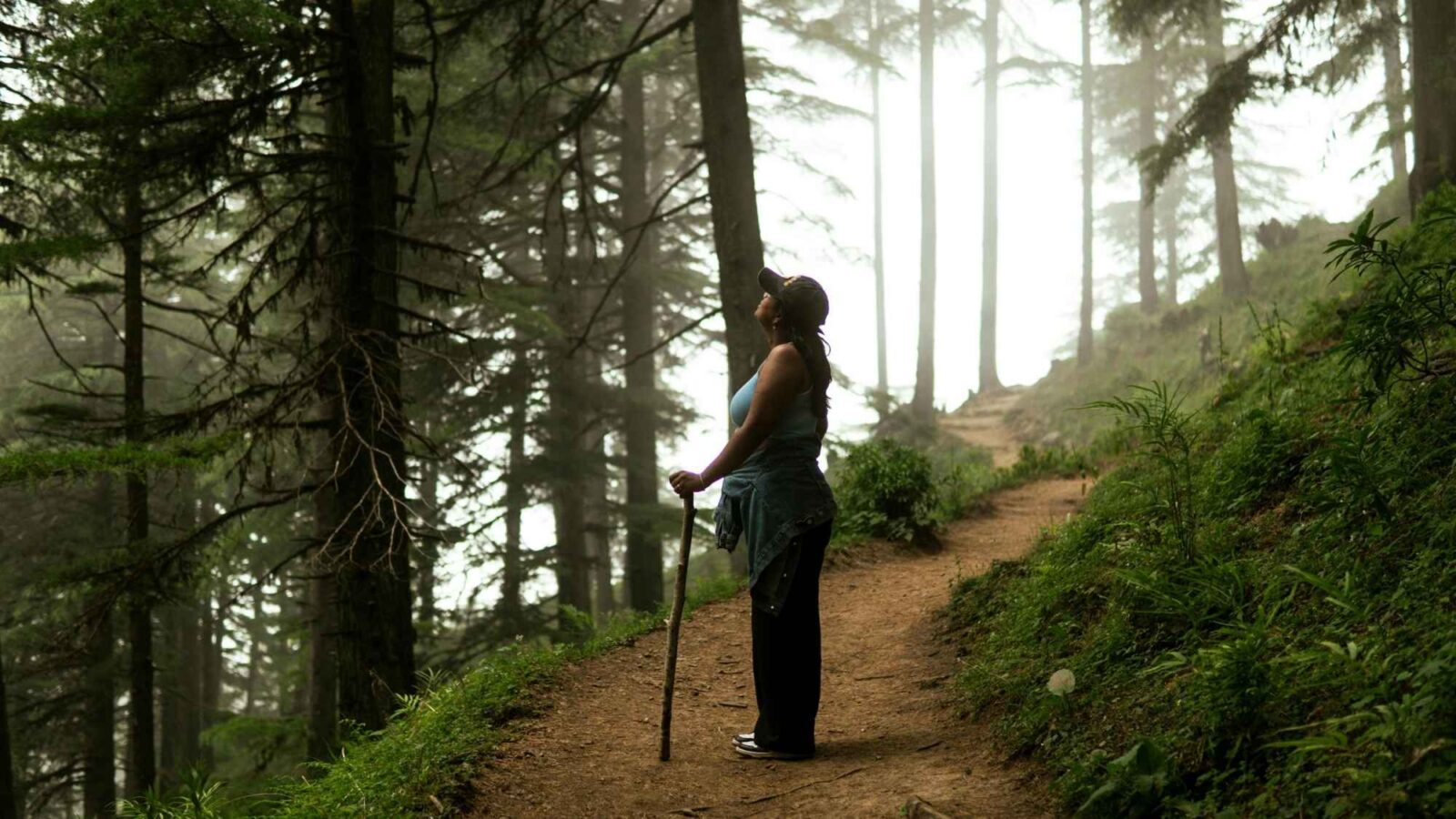 Hiking and trekking in Sri Lanka's highlands