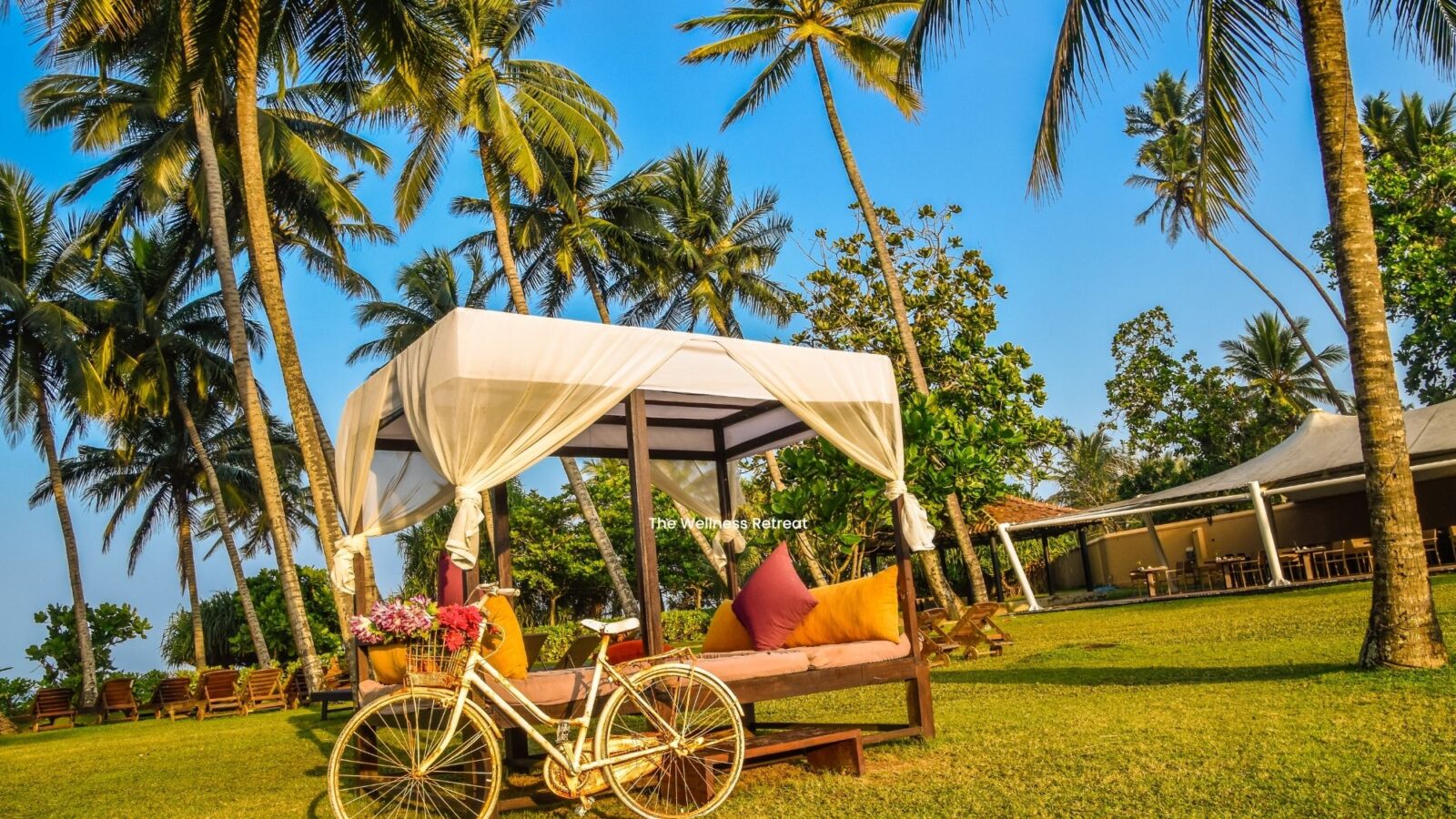 The Wellness Retreat