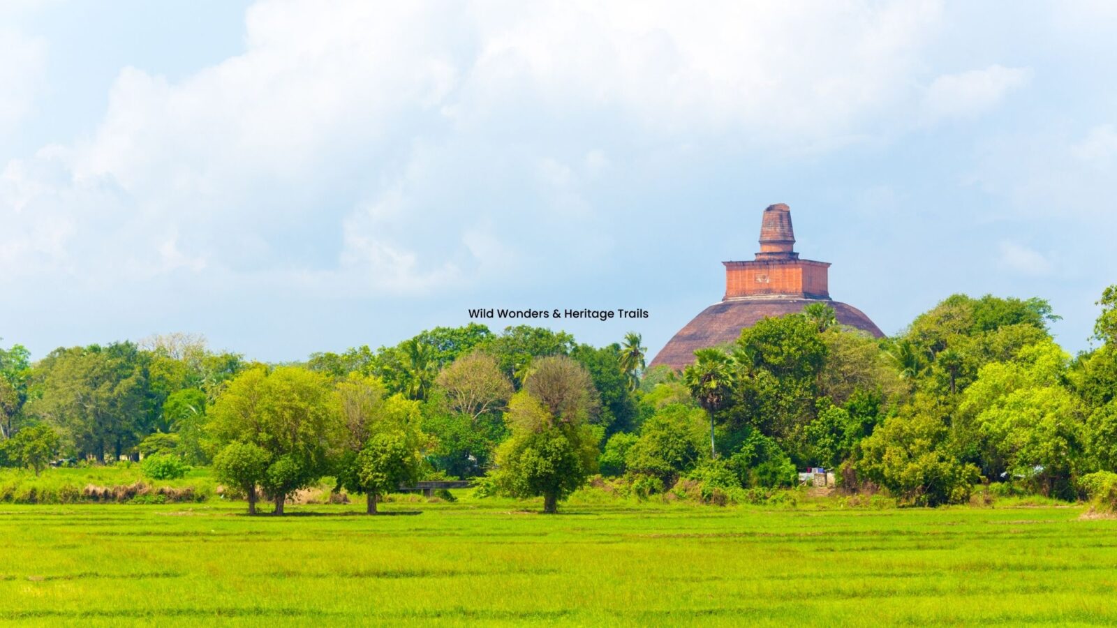 Wild Wonders & Heritage Trails